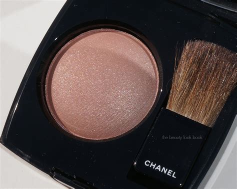 Chanel powder blush mocha